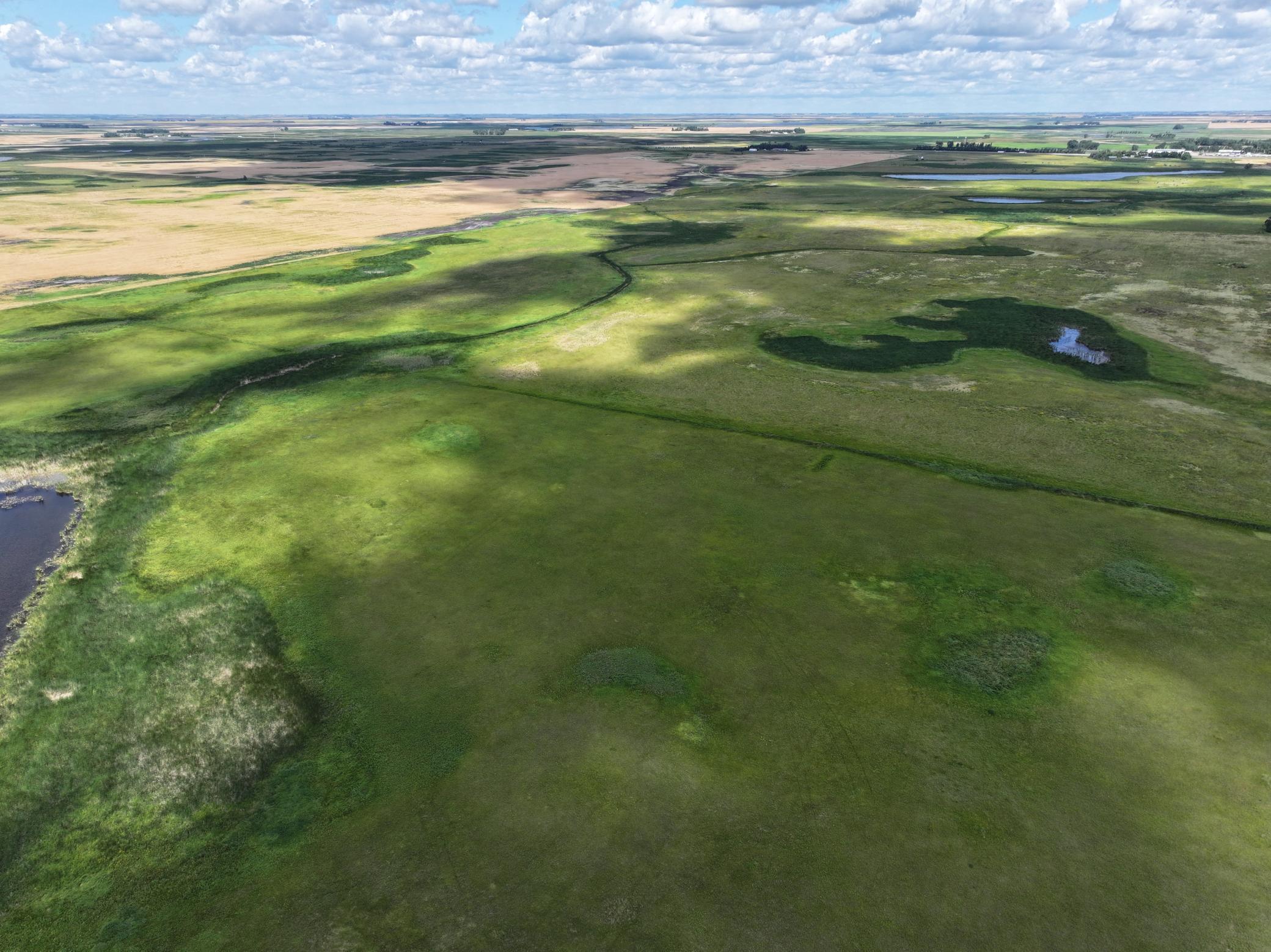 land for sale at TBD County Road 35 in Michigan, ND (photo 12 of 23)