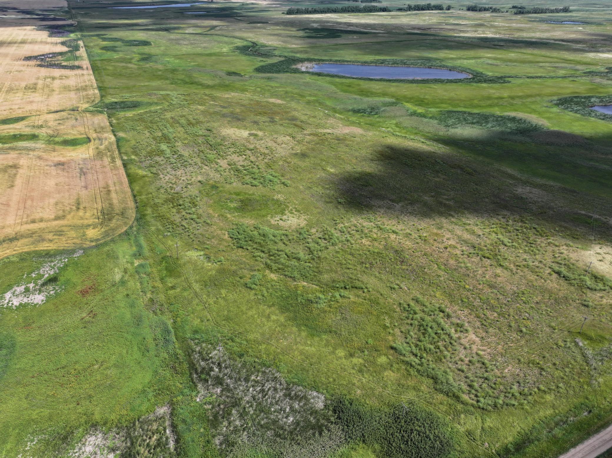 land for sale at TBD County Road 35 in Michigan, ND (photo 22 of 23)