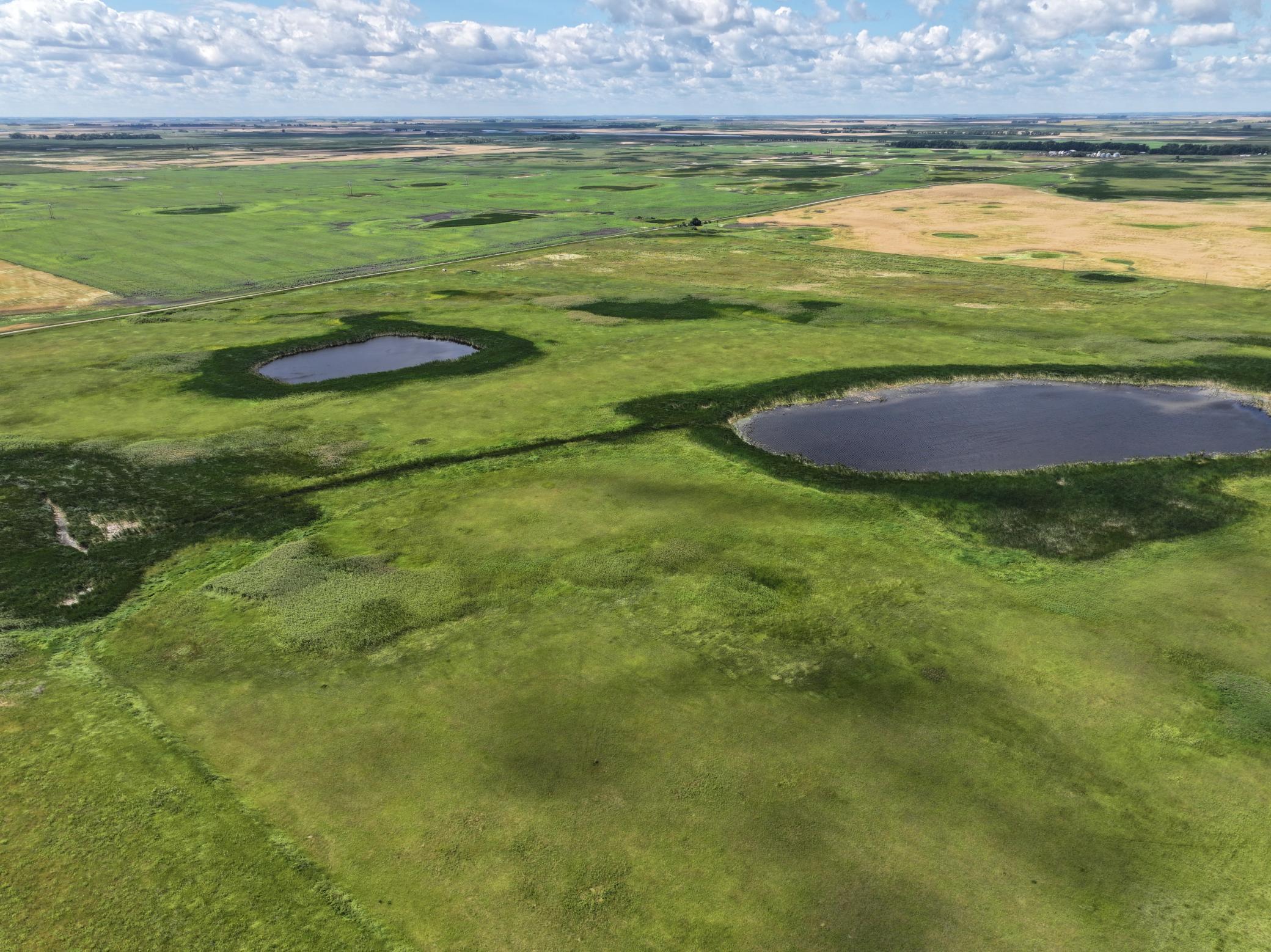 land for sale at TBD County Road 35 in Michigan, ND (photo 6 of 23)