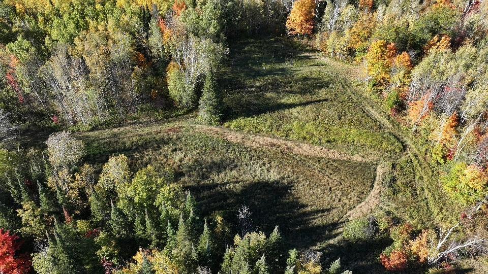 2023 land for sale at 13088 220th Street in McGrath, MN (photo 15 of 60)