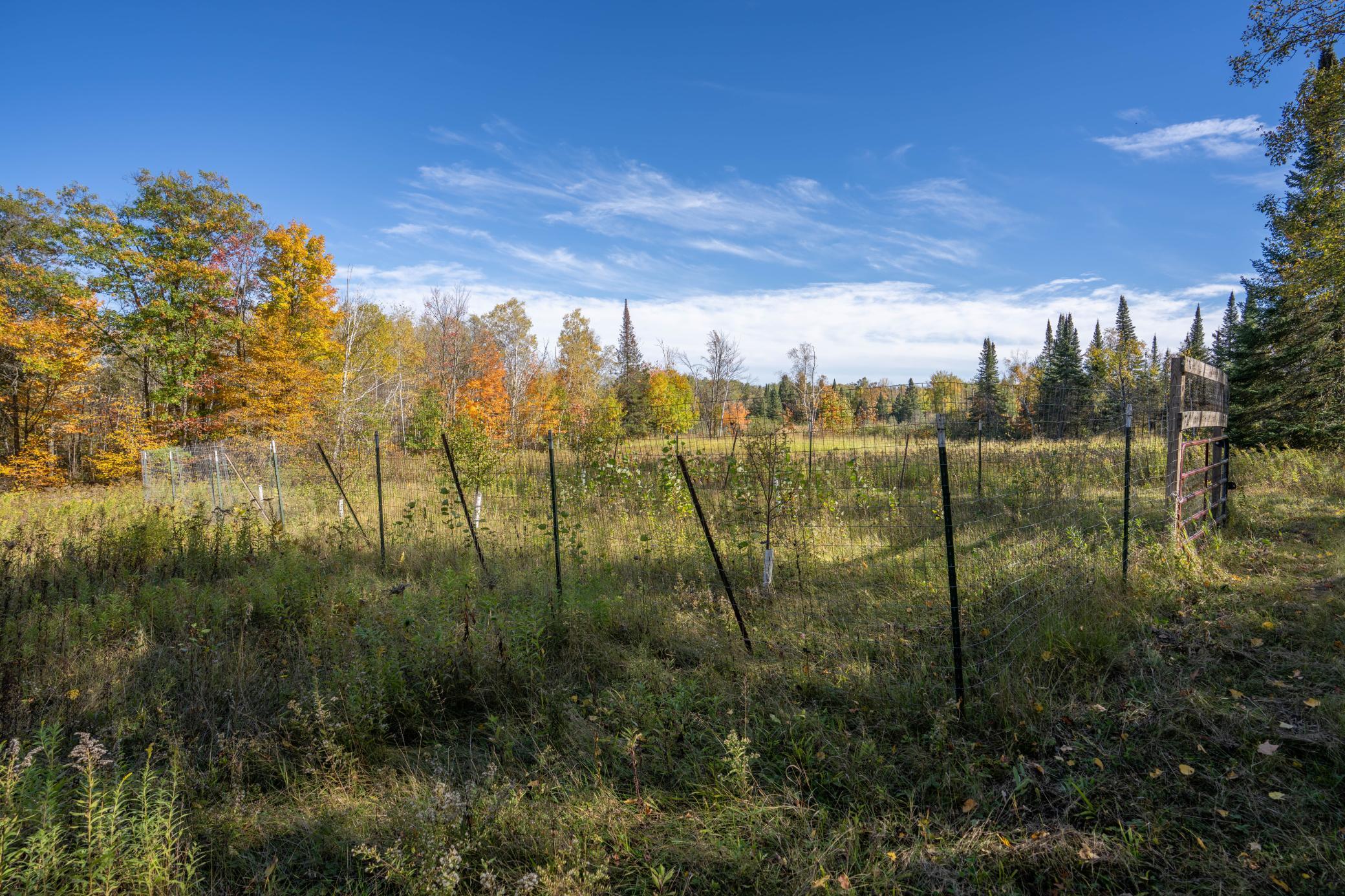 2023 land for sale at 13088 220th Street in McGrath, MN (photo 16 of 60)