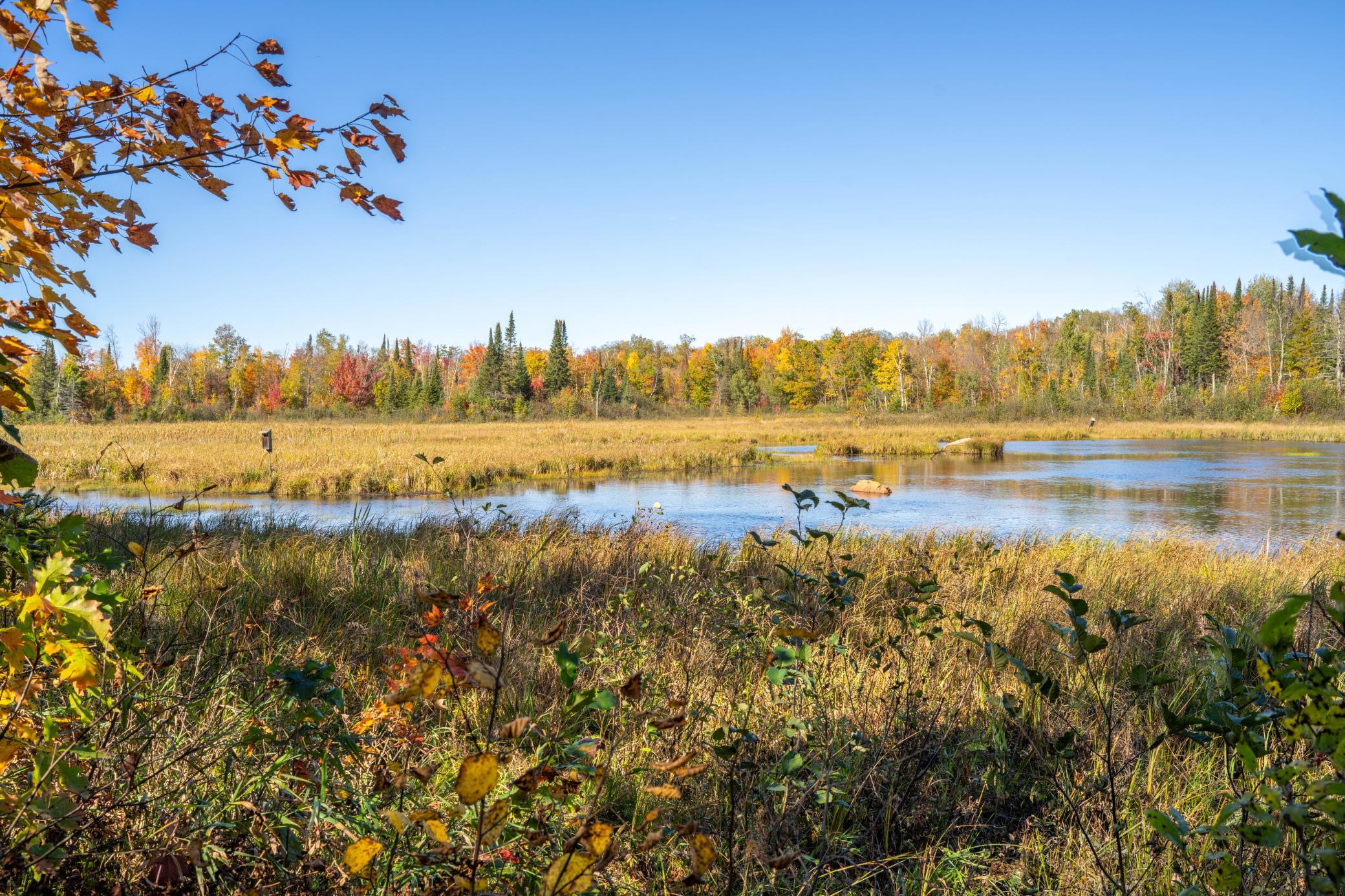 2023 land for sale at 13088 220th Street in McGrath, MN (photo 19 of 60)