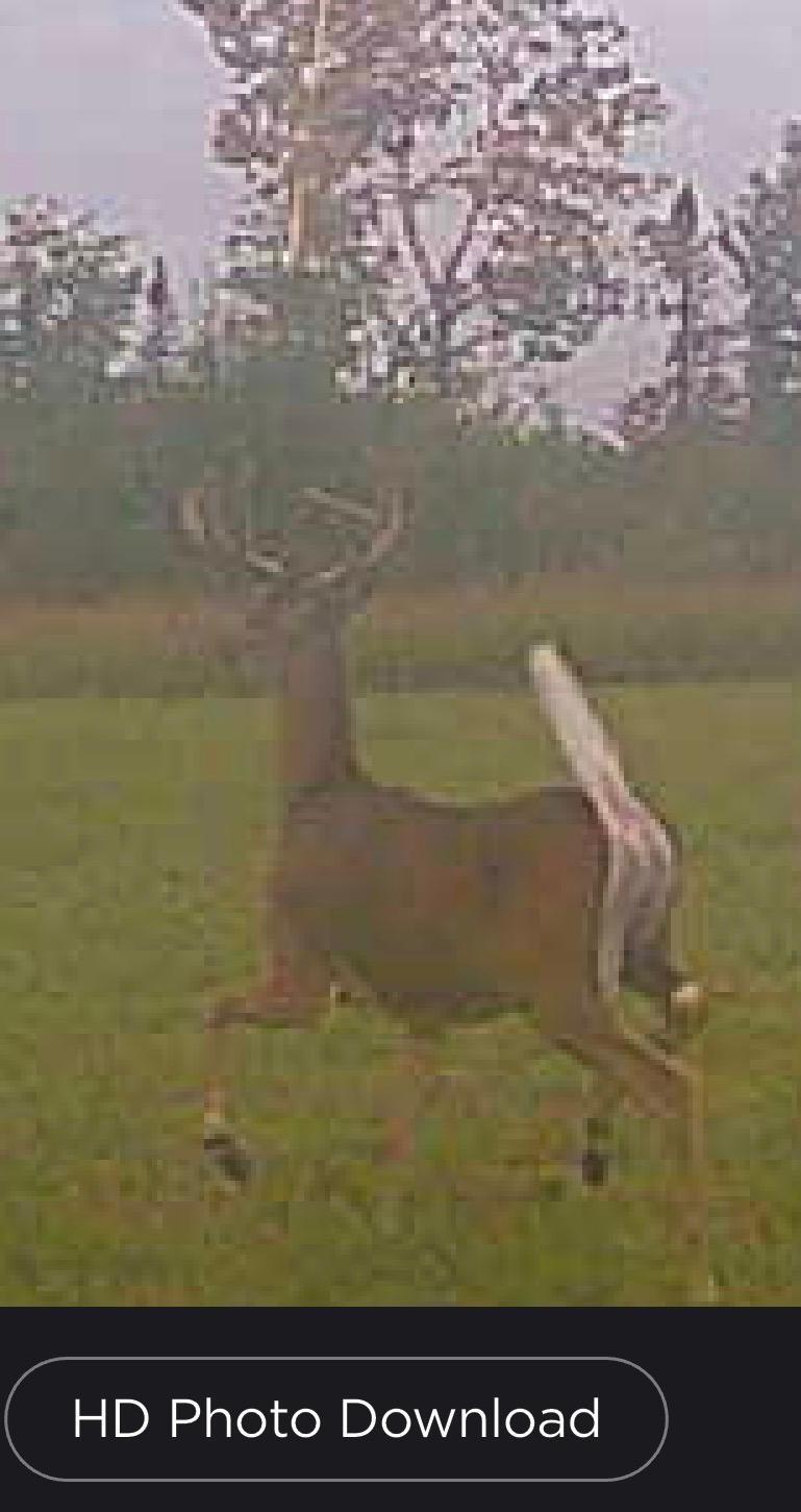 2023 land for sale at 13088 220th Street in McGrath, MN (photo 22 of 60)