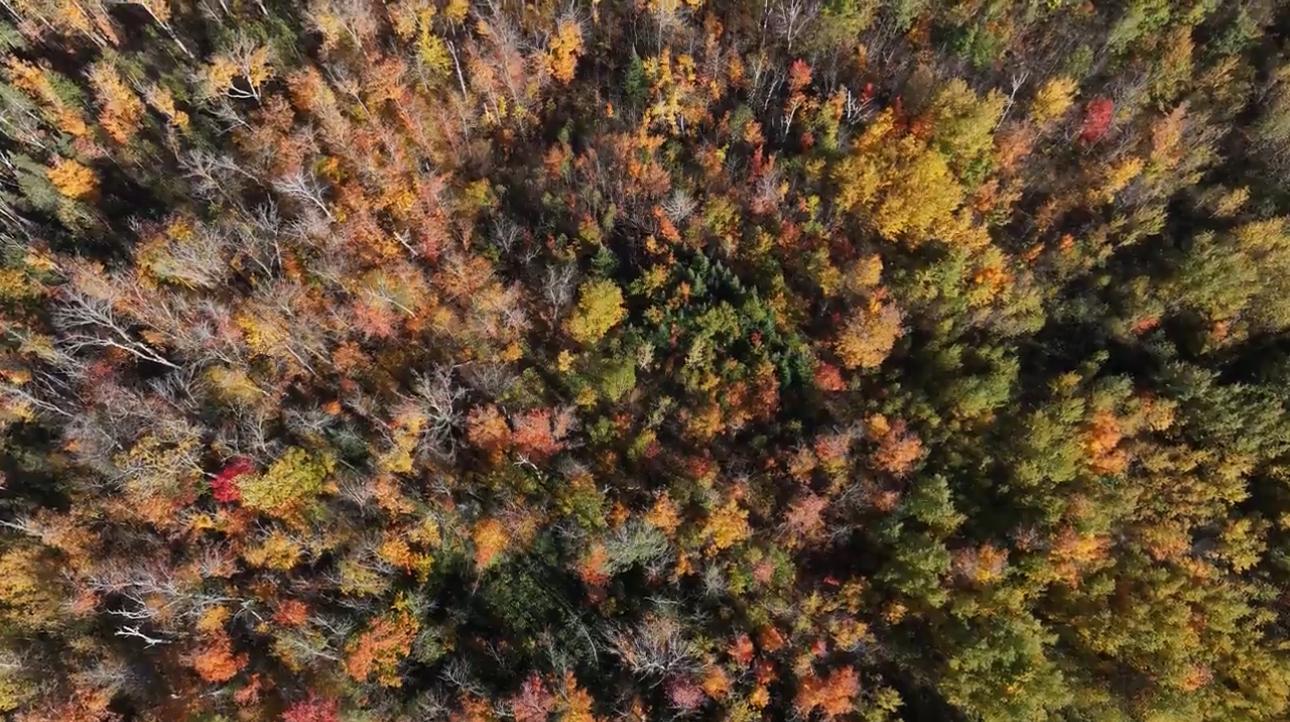 2023 land for sale at 13088 220th Street in McGrath, MN (photo 25 of 60)