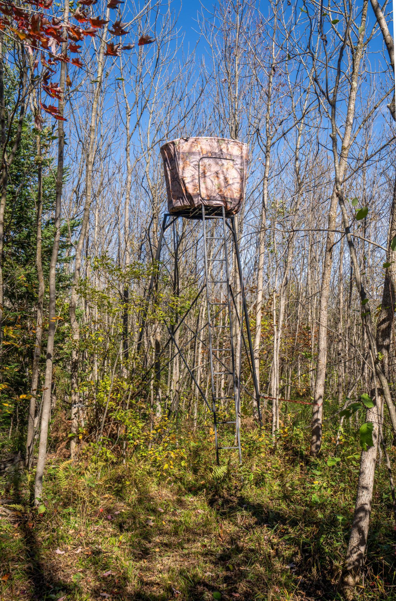 2023 land for sale at 13088 220th Street in McGrath, MN (photo 27 of 60)