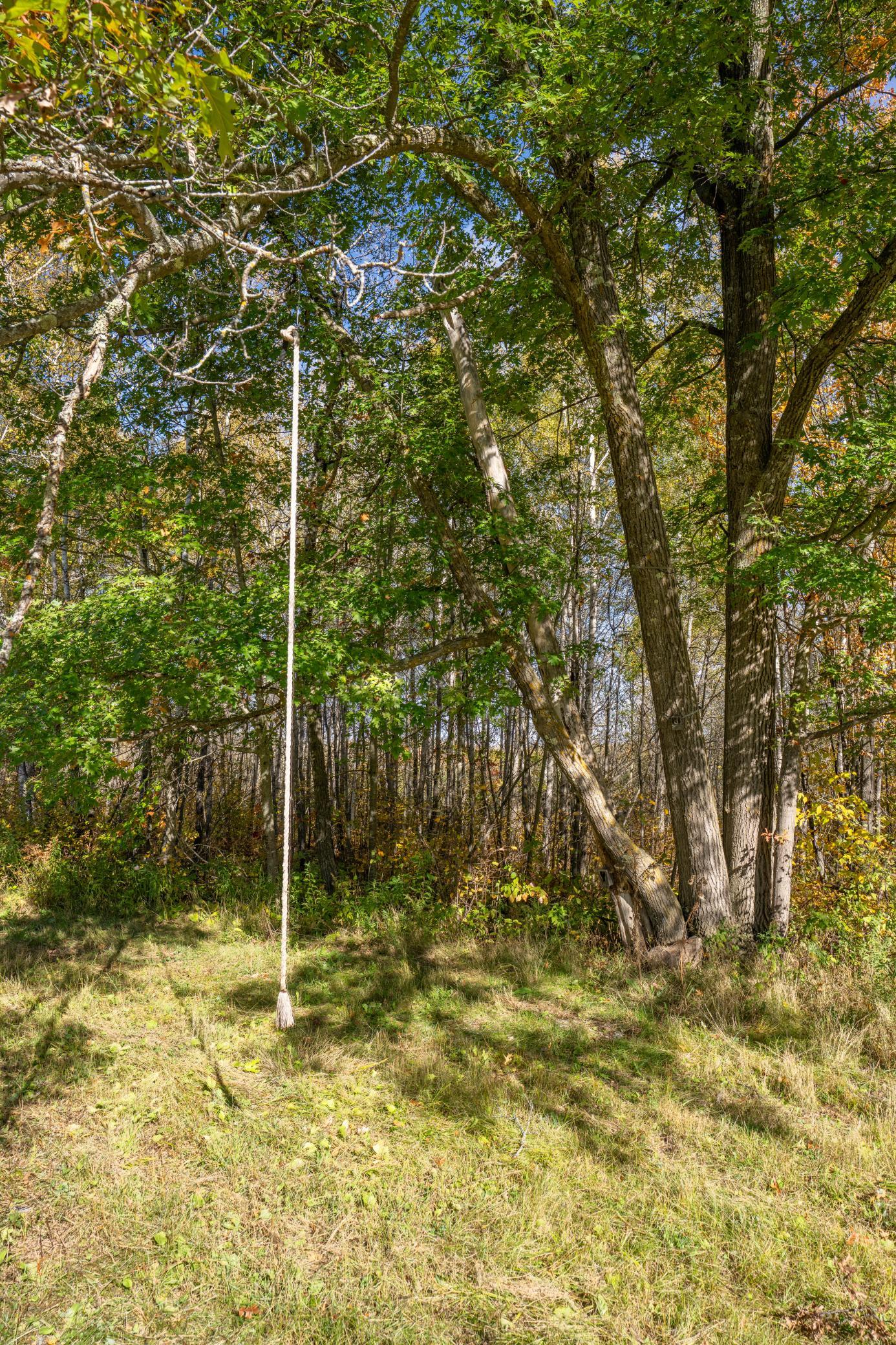 2023 land for sale at 13088 220th Street in McGrath, MN (photo 28 of 60)