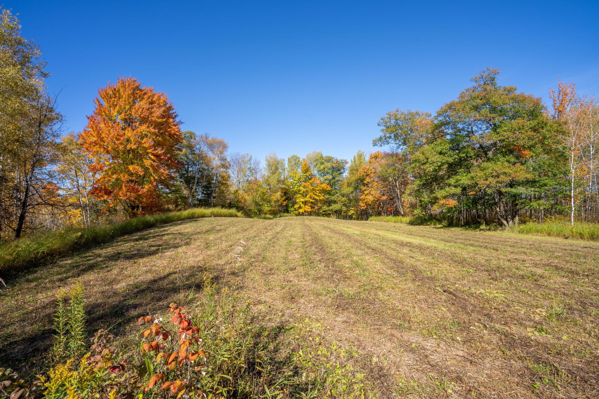 2023 land for sale at 13088 220th Street in McGrath, MN (photo 30 of 60)