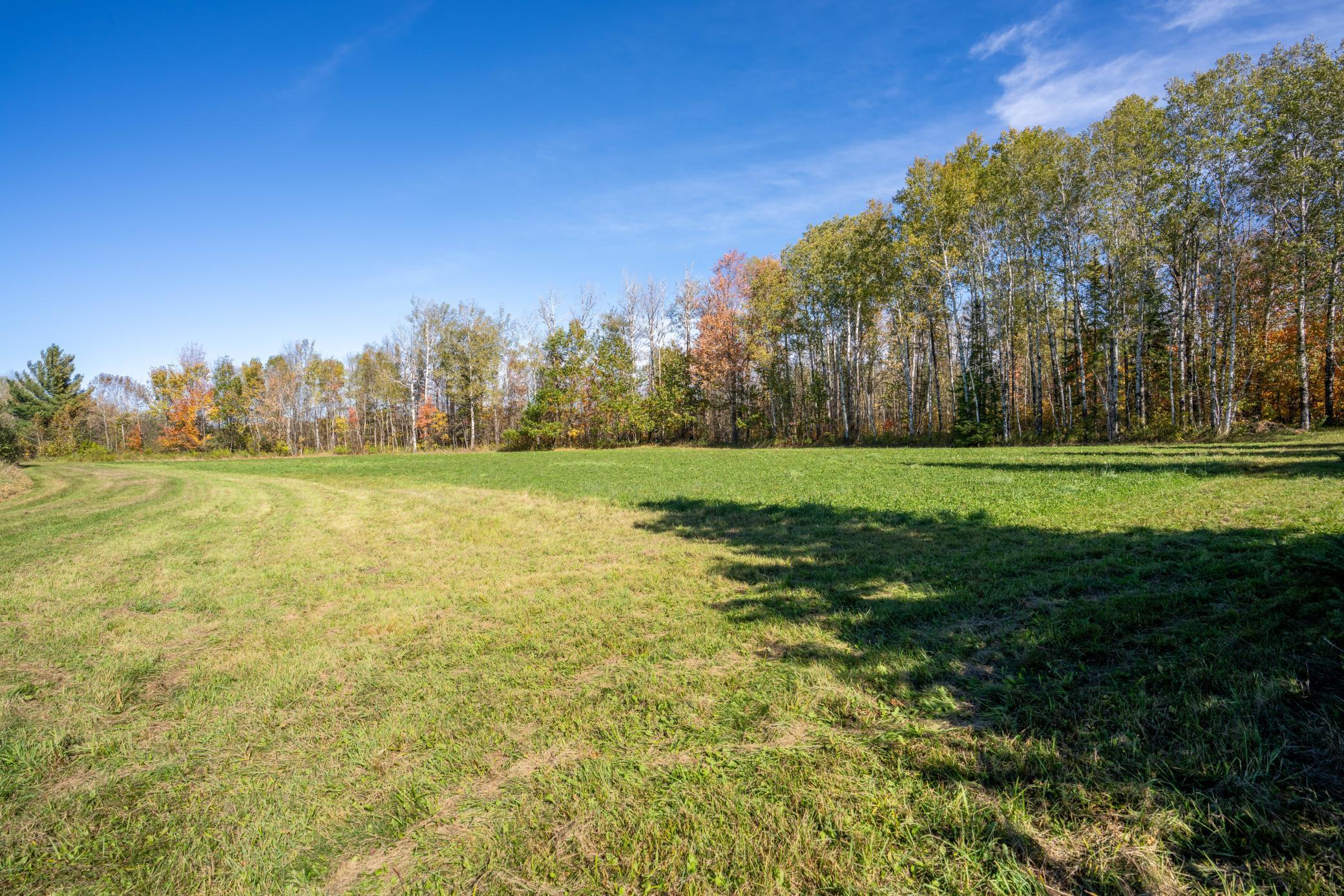 2023 land for sale at 13088 220th Street in McGrath, MN (photo 32 of 60)