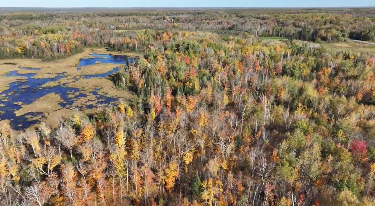 2023 land for sale at 13088 220th Street in McGrath, MN (photo 35 of 60)