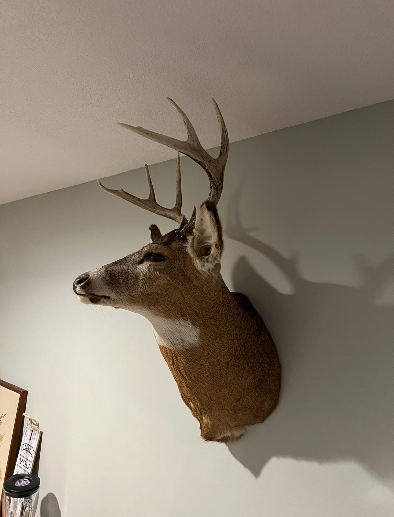 2023 land for sale at 13088 220th Street in McGrath, MN (photo 47 of 60)