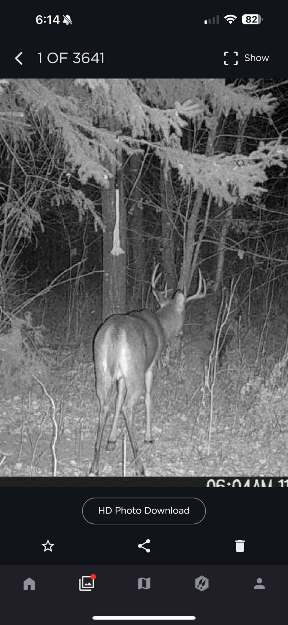 2023 land for sale at 13088 220th Street in McGrath, MN (photo 49 of 60)