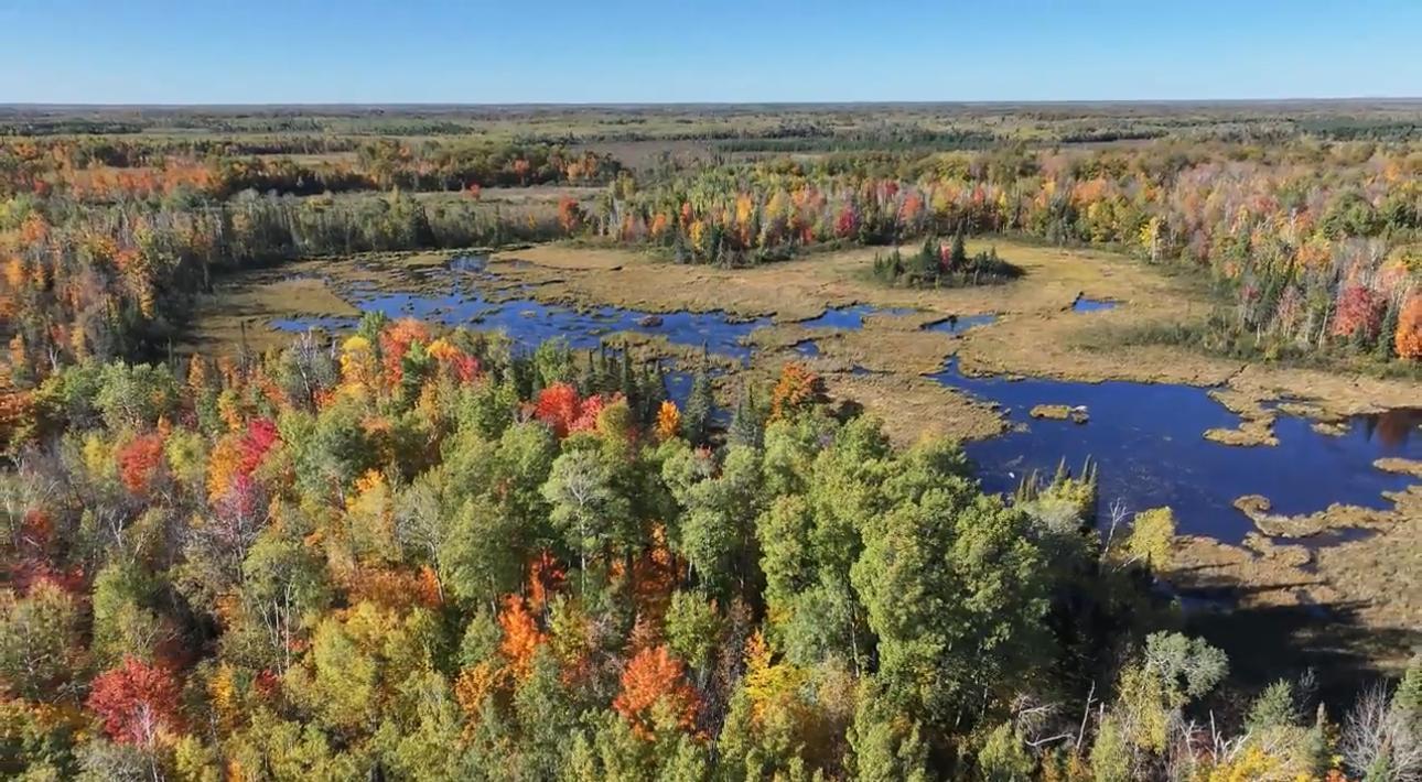 2023 land for sale at 13088 220th Street in McGrath, MN (photo 6 of 60)
