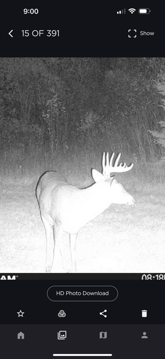 2023 land for sale at 13088 220th Street in McGrath, MN (photo 52 of 60)