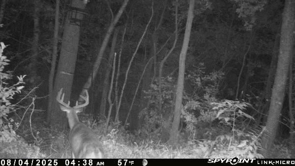 2023 land for sale at 13088 220th Street in McGrath, MN (photo 57 of 60)