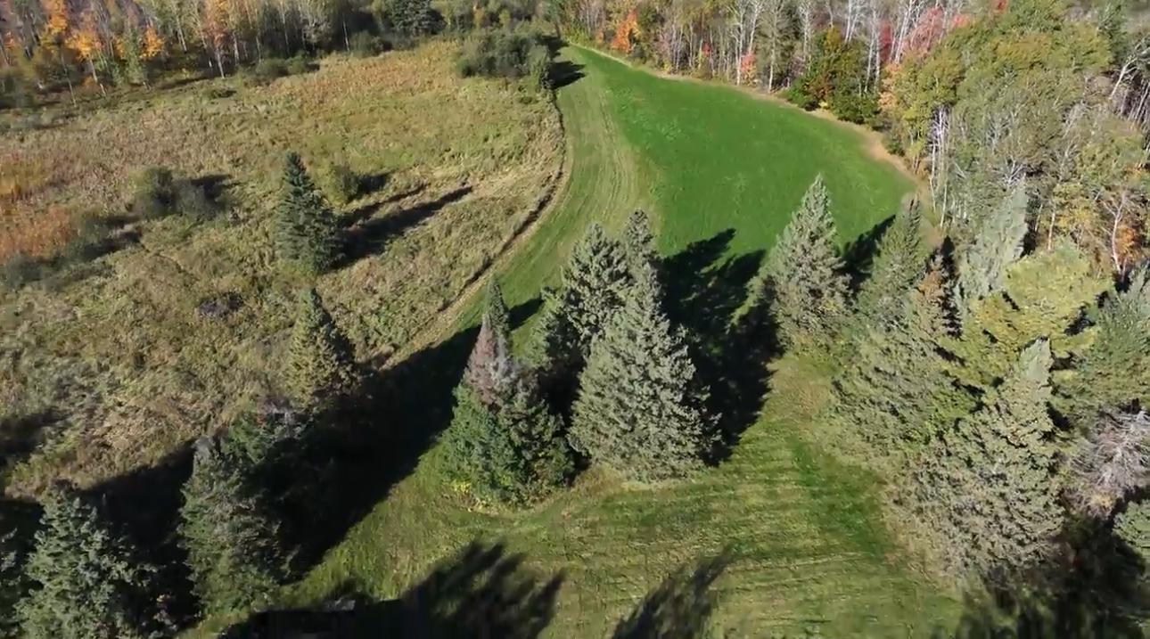 2023 land for sale at 13088 220th Street in McGrath, MN (photo 7 of 60)