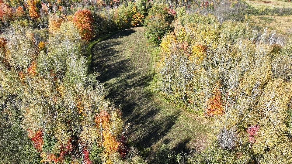 2023 land for sale at 13088 220th Street in McGrath, MN (photo 8 of 60)