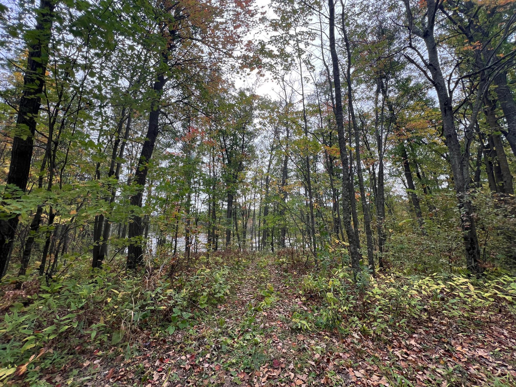 land for sale at TBD Red Oak Drive in Garrison, MN (photo 16 of 29)