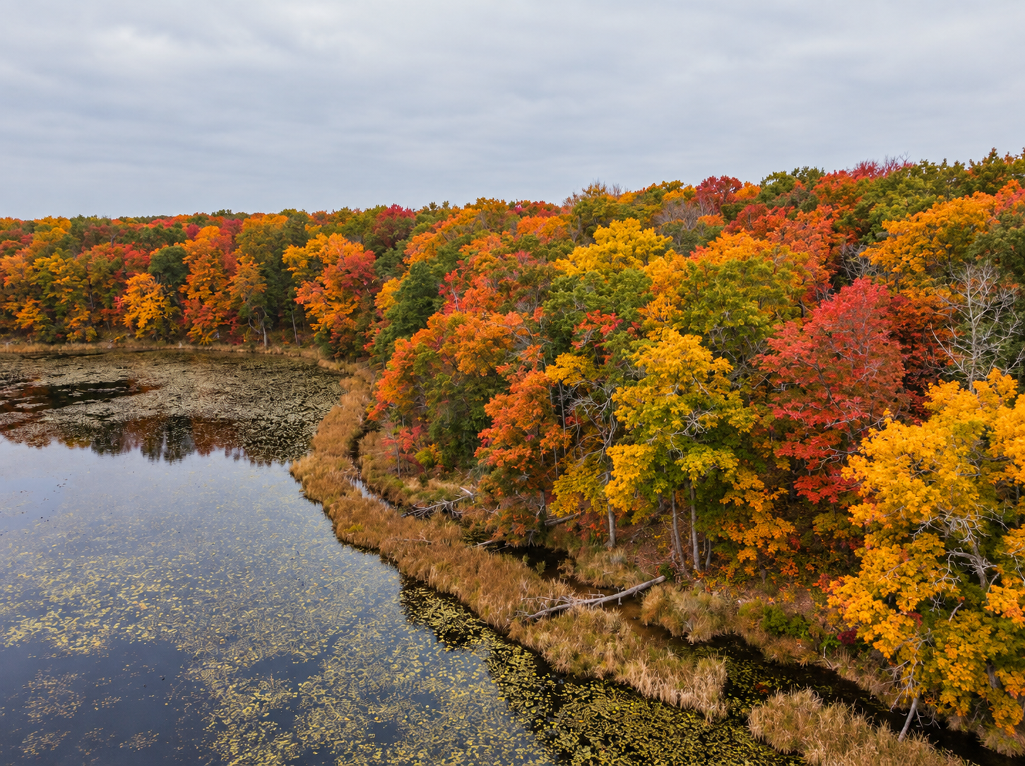 land for sale at TBD Red Oak Drive in Garrison, MN (photo 3 of 29)