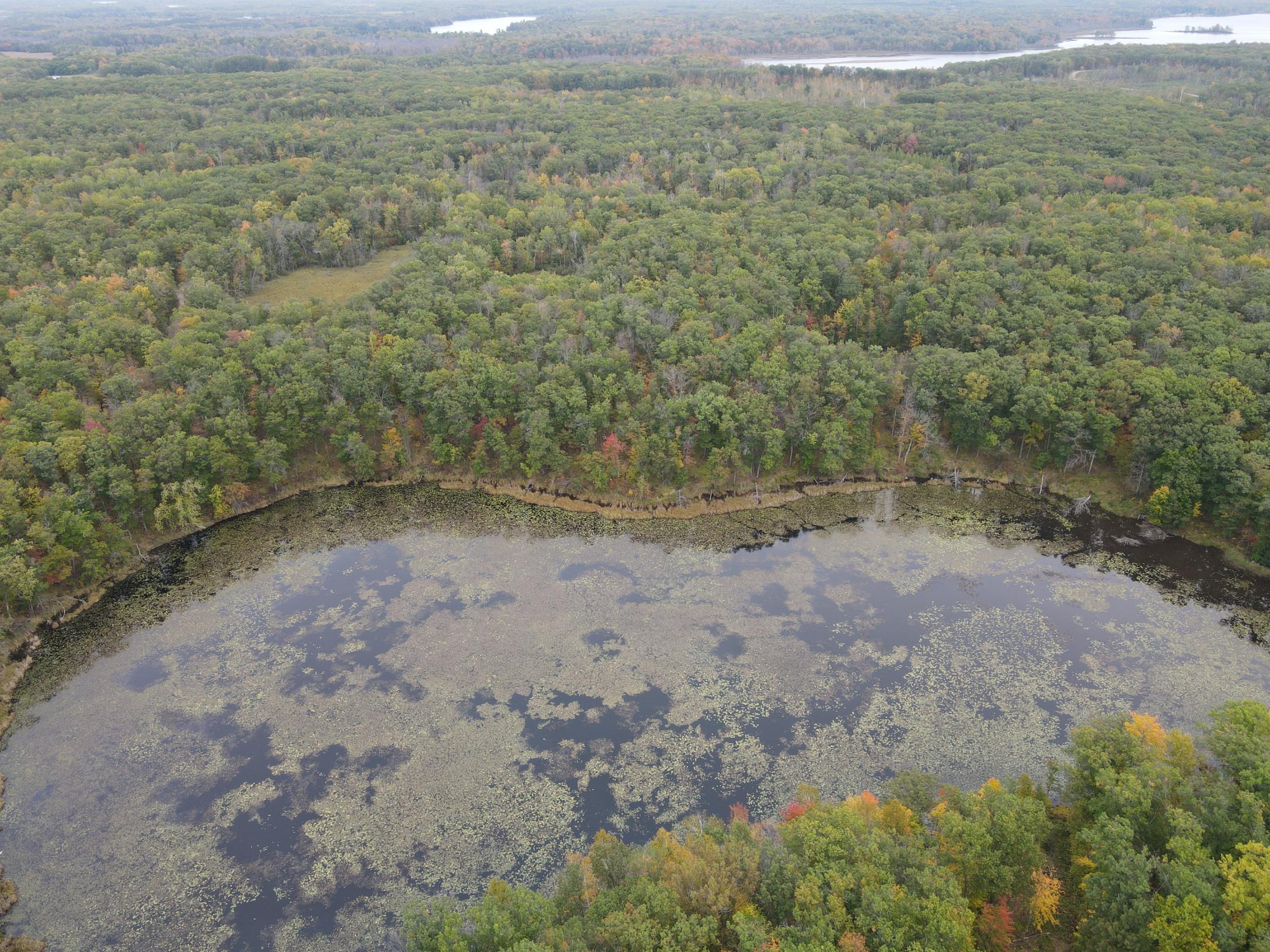 land for sale at TBD Red Oak Drive in Garrison, MN (photo 24 of 29)