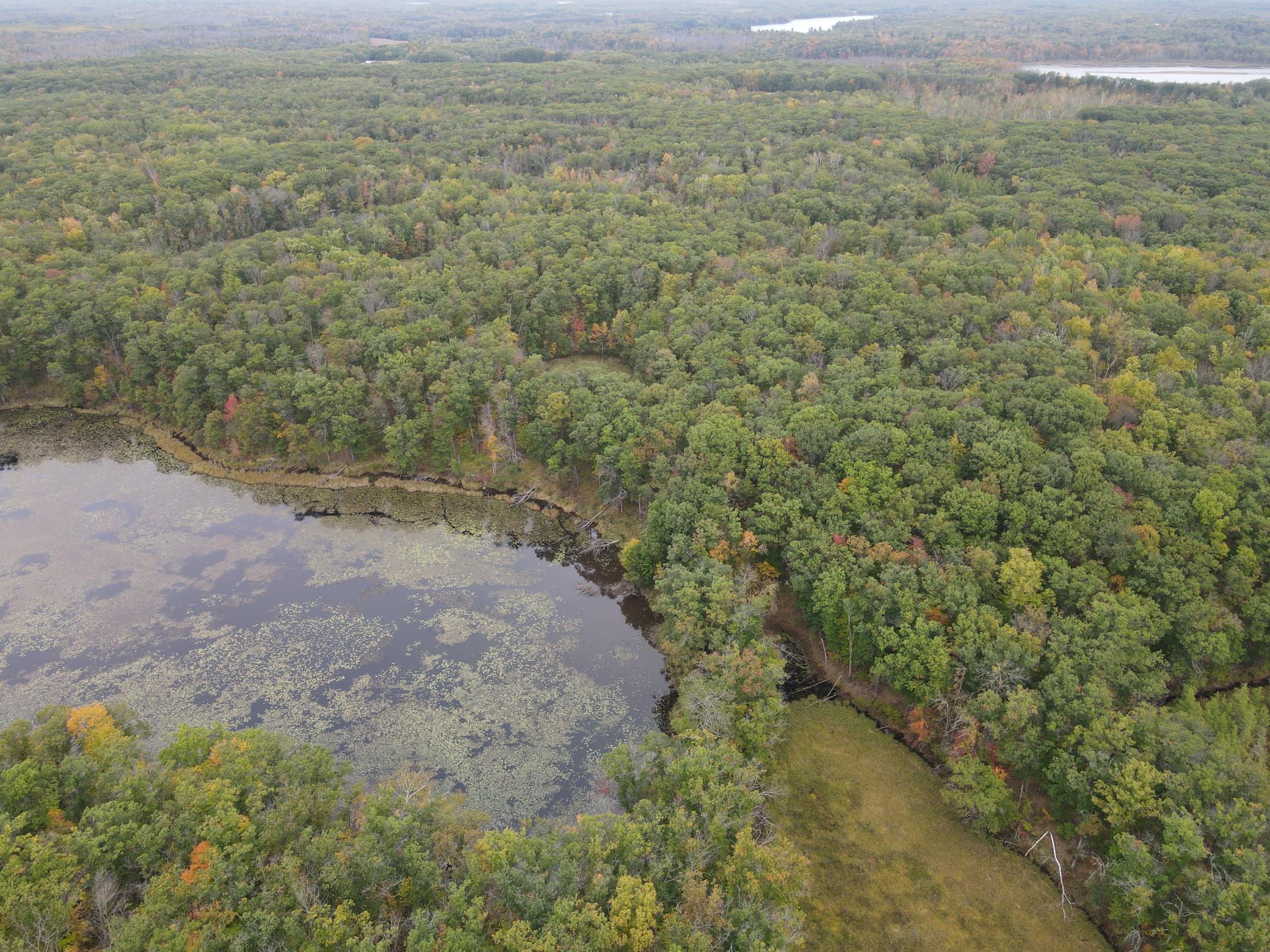 land for sale at TBD Red Oak Drive in Garrison, MN (photo 25 of 29)