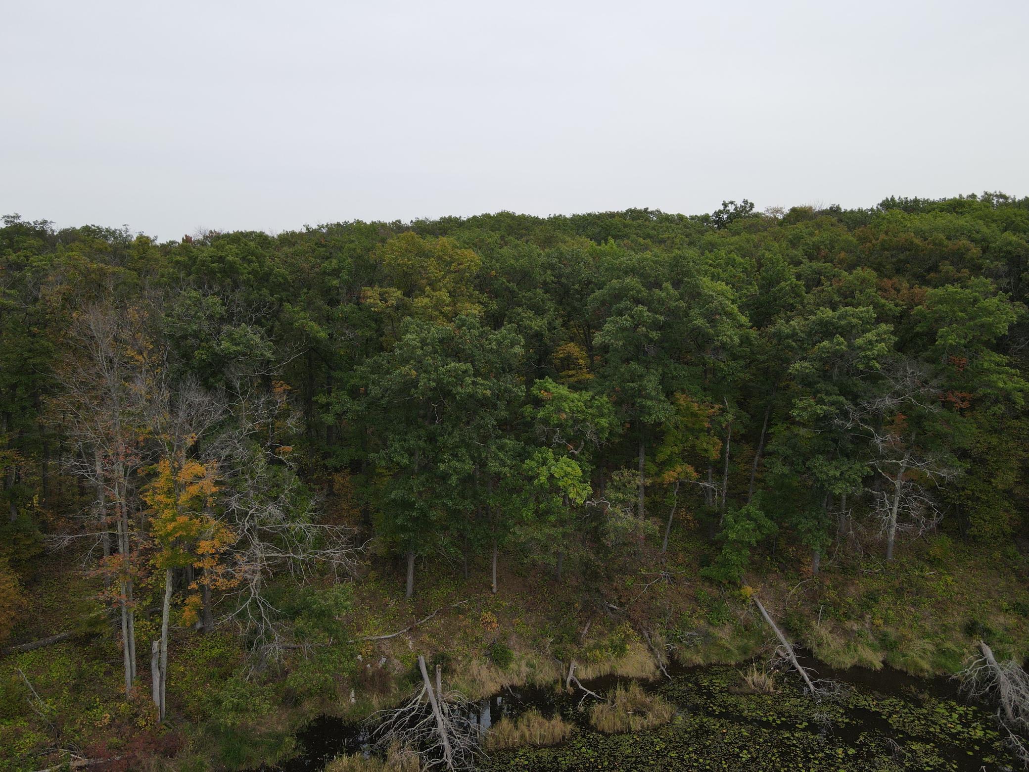 land for sale at TBD Red Oak Drive in Garrison, MN (photo 26 of 29)