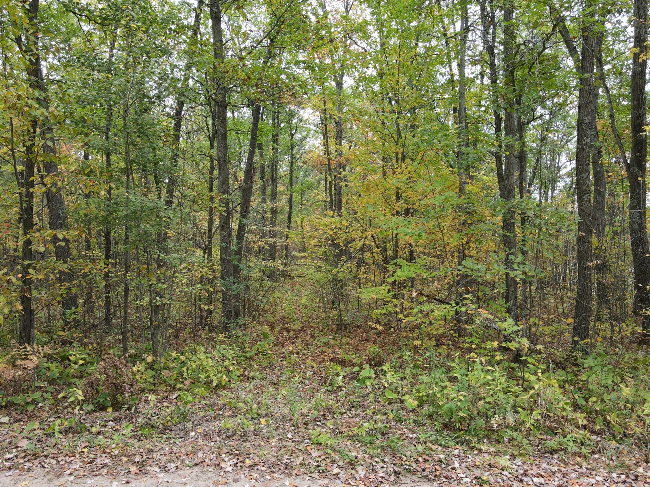 land for sale at TBD Red Oak Drive in Garrison, MN (photo 27 of 29)