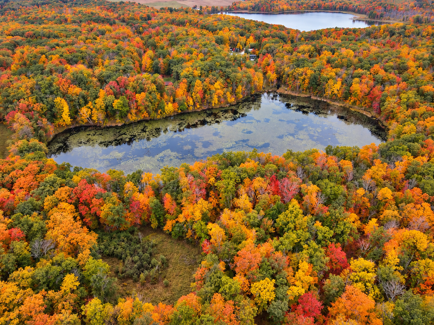 land for sale at TBD Red Oak Drive in Garrison, MN (photo 4 of 29)