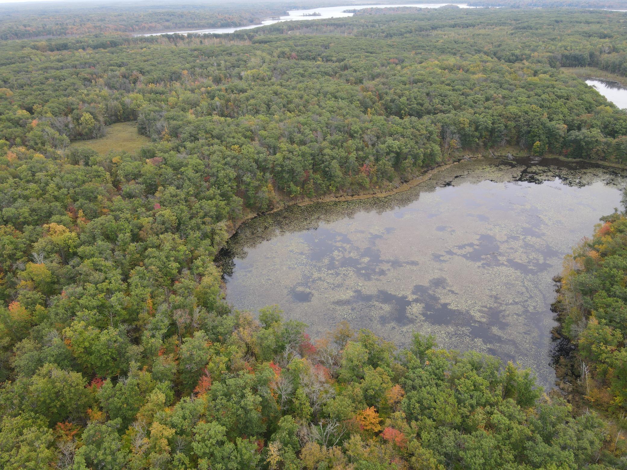 land for sale at TBD Red Oak Drive in Garrison, MN (photo 7 of 29)
