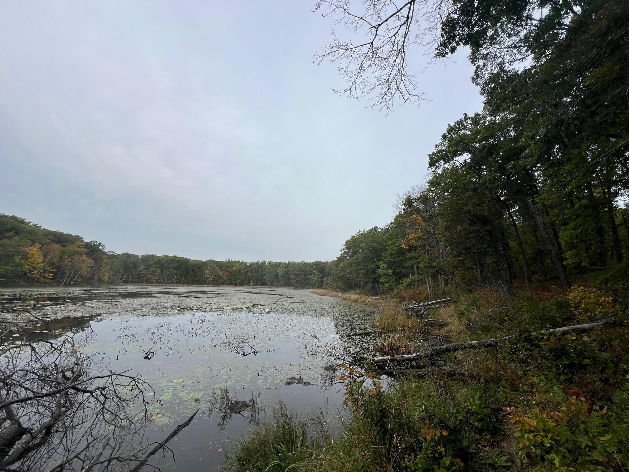 land for sale at TBD Red Oak Drive in Garrison, MN (photo 9 of 29)