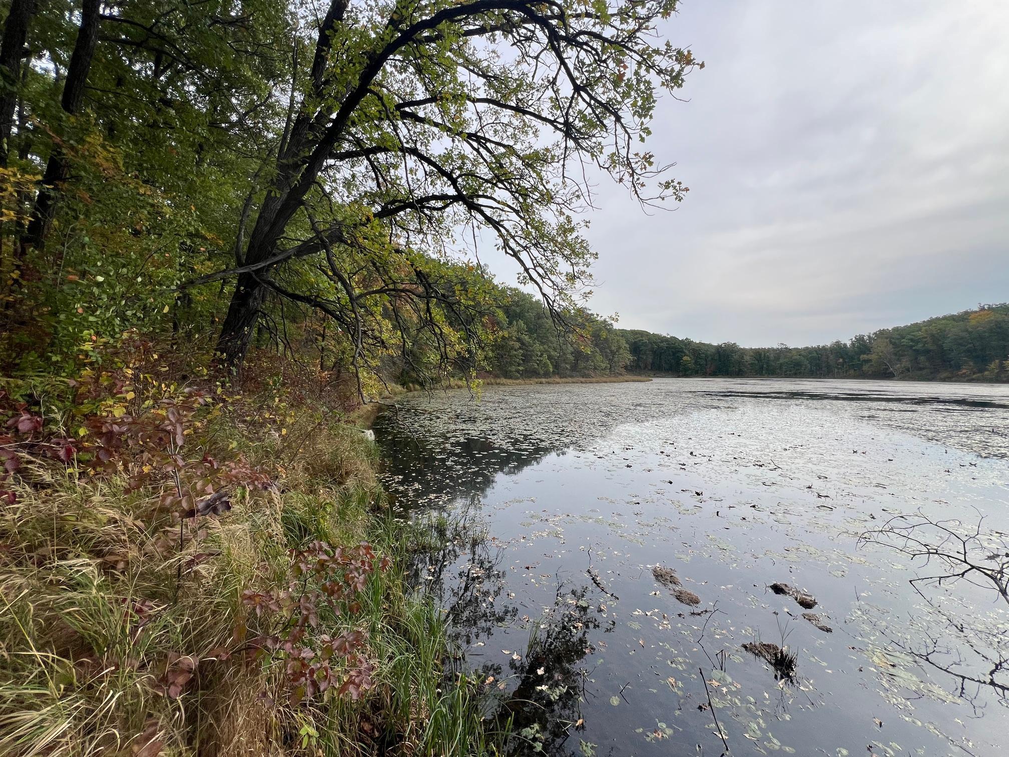 land for sale at TBD Red Oak Drive in Garrison, MN (photo 10 of 29)