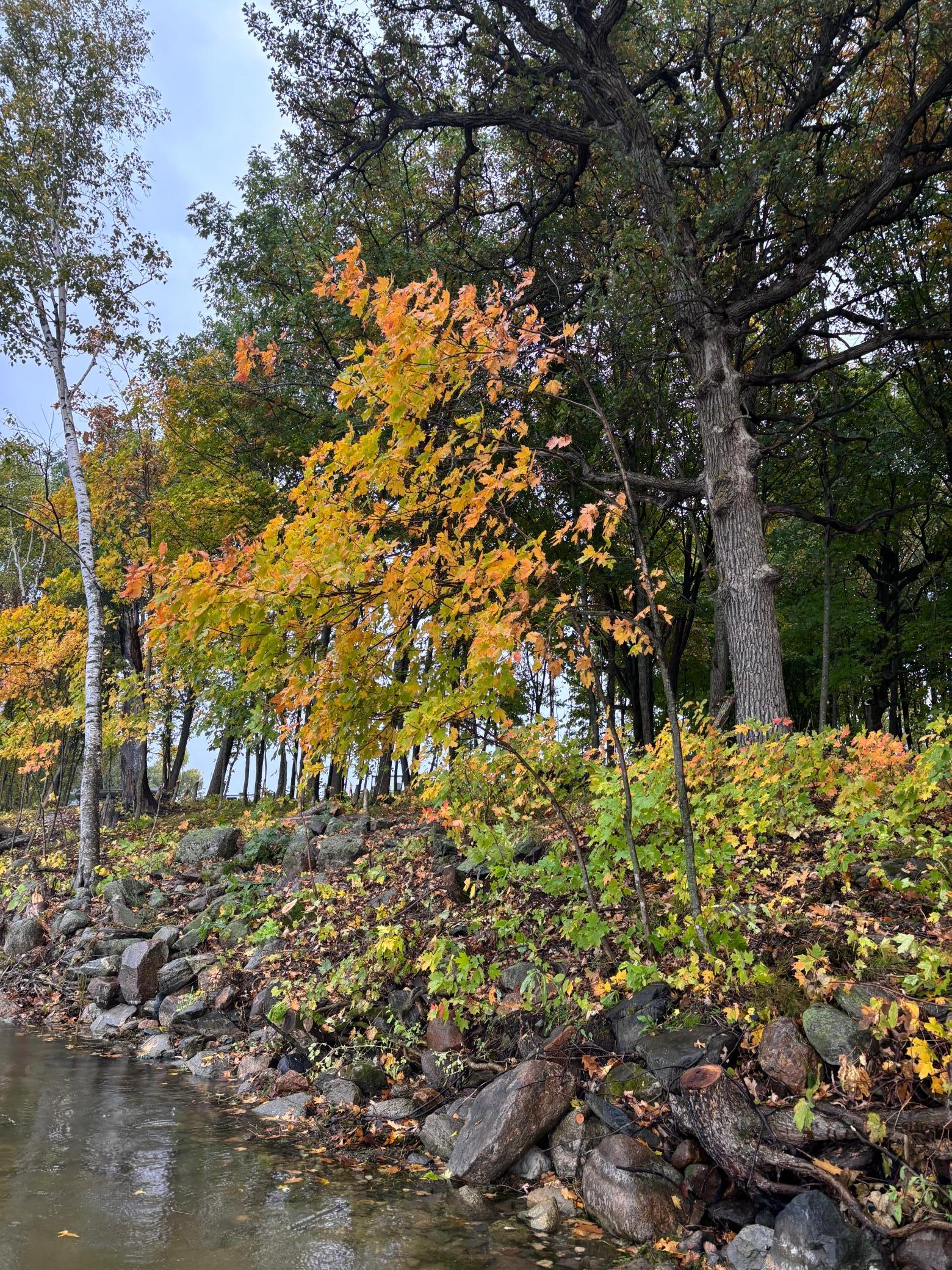 land for sale at Lot 7 Blk 1 Serenity Lane SW in Alexandria, MN (photo 2 of 11)