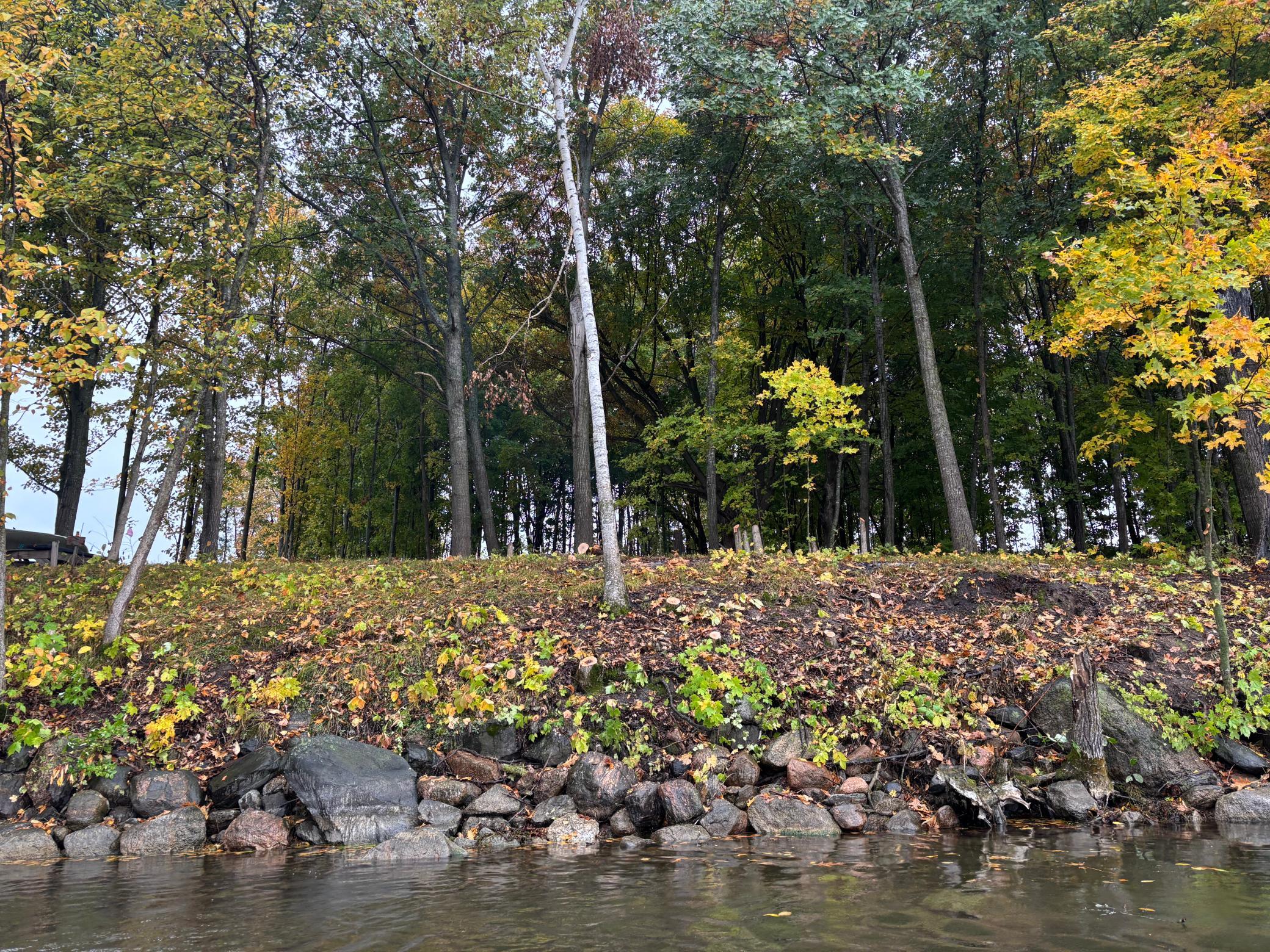 land for sale at Lot 7 Blk 1 Serenity Lane SW in Alexandria, MN (photo 4 of 11)
