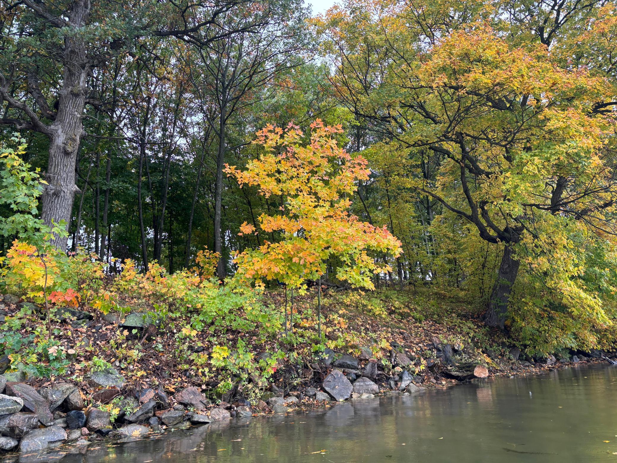 land for sale at Lot 7 Blk 1 Serenity Lane SW in Alexandria, MN (photo 5 of 11)