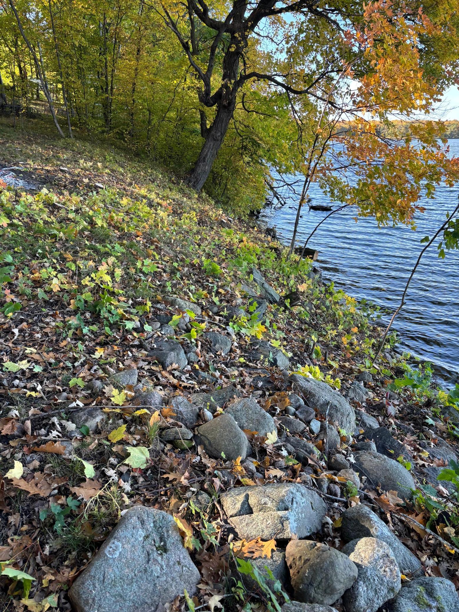 land for sale at Lot 7 Blk 1 Serenity Lane SW in Alexandria, MN (photo 10 of 11)