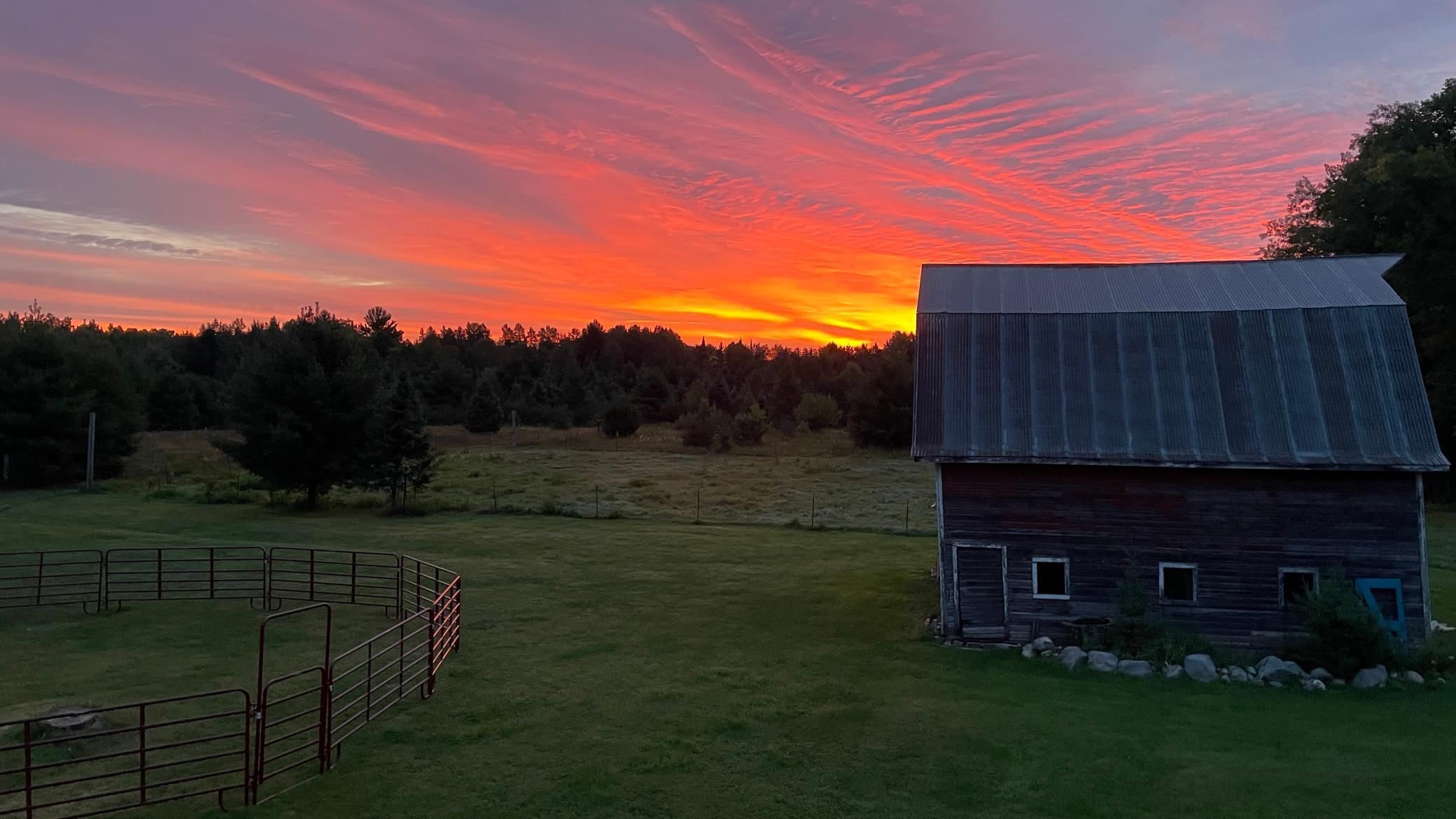 1934 single family home for sale at 27366 County Road 69 in Bovey, MN — 3 bed, 1 bath (photo 51 of 56)