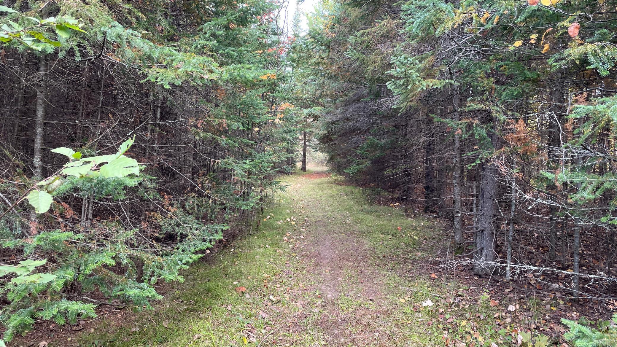 1934 single family home for sale at 27366 County Road 69 in Bovey, MN — 3 bed, 1 bath (photo 53 of 56)