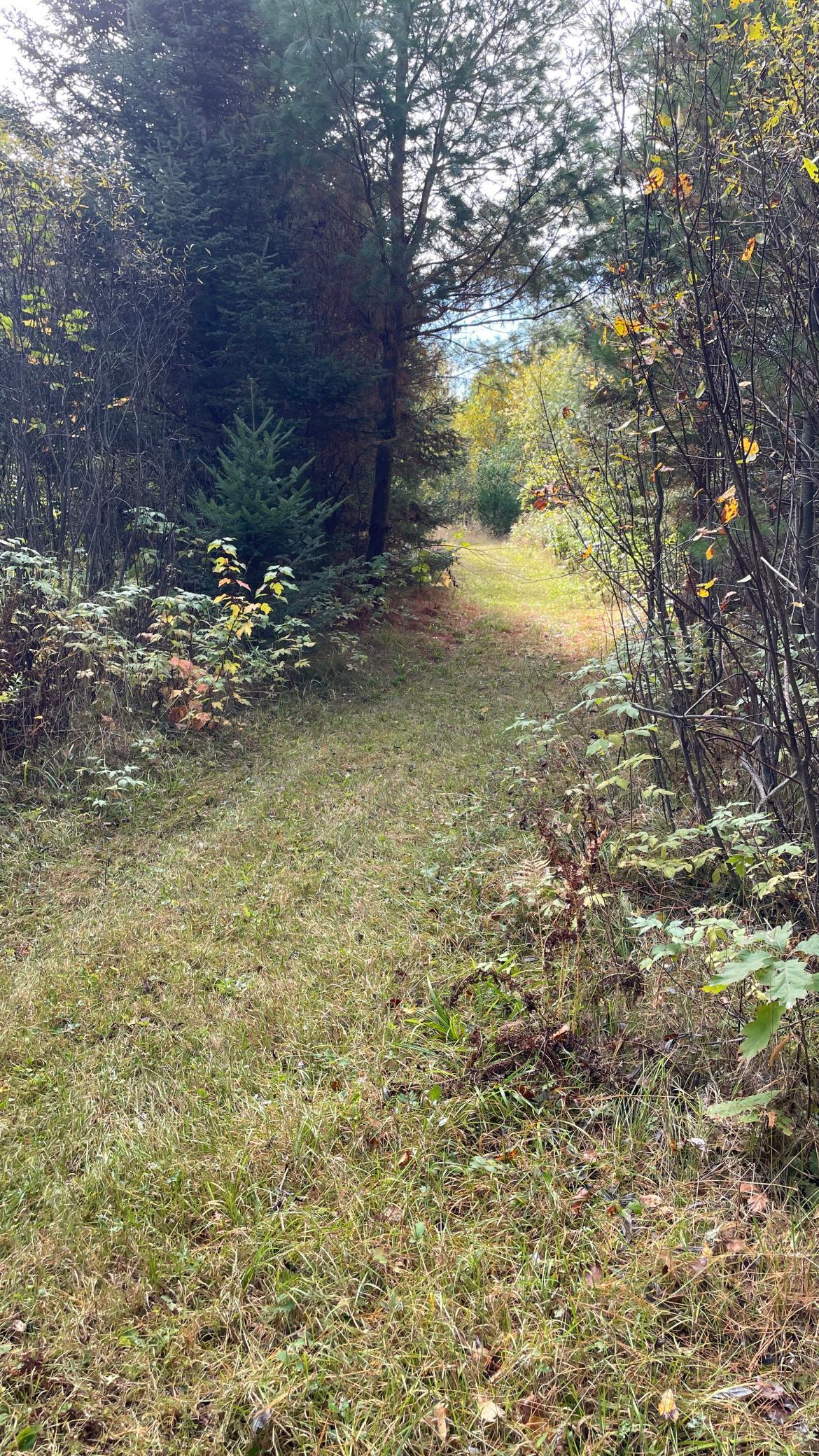 1934 single family home for sale at 27366 County Road 69 in Bovey, MN — 3 bed, 1 bath (photo 54 of 56)