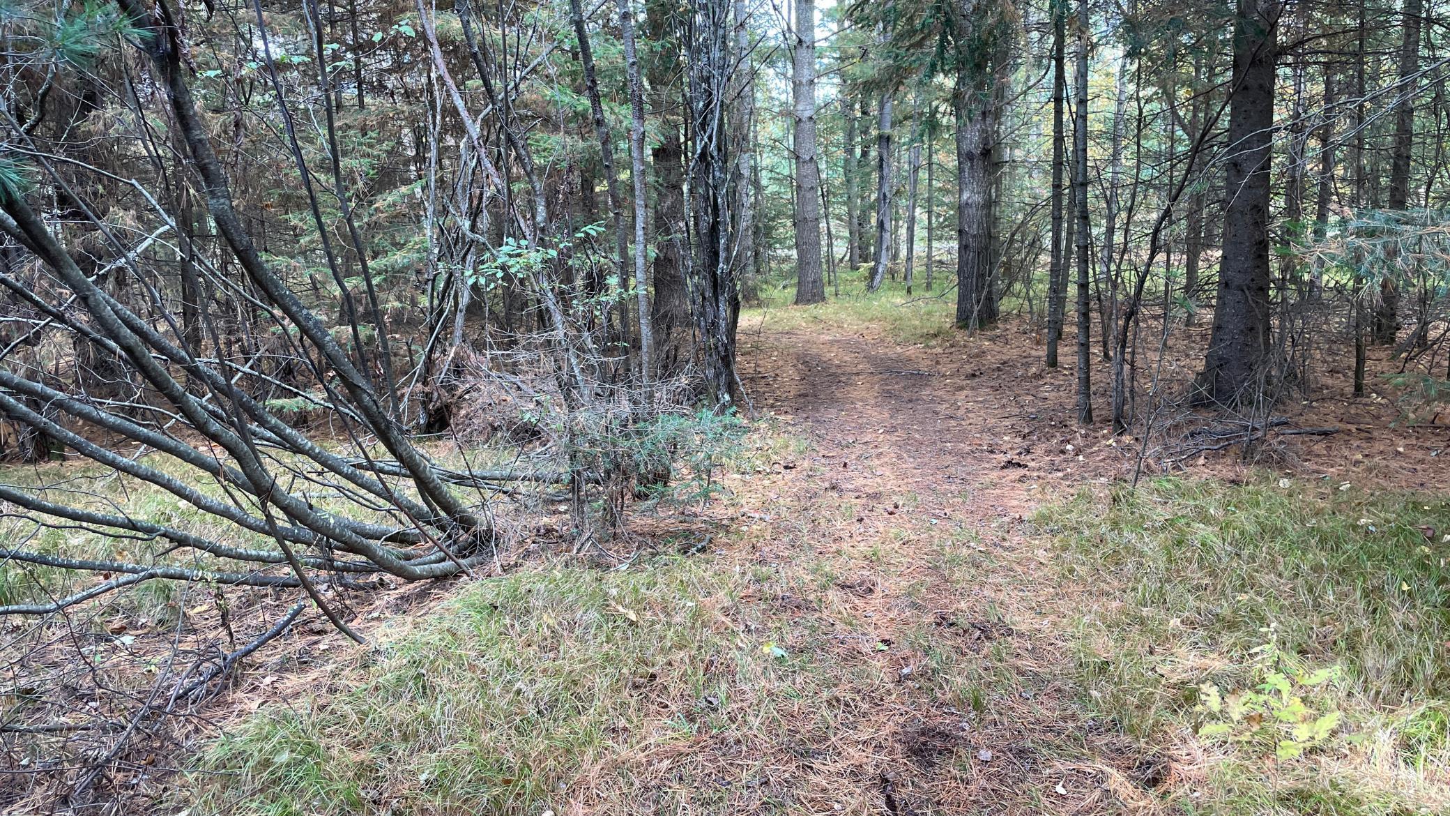 1934 single family home for sale at 27366 County Road 69 in Bovey, MN — 3 bed, 1 bath (photo 55 of 56)
