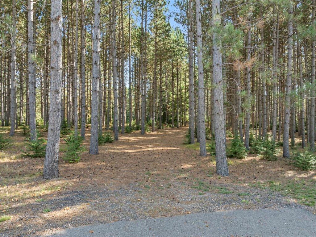 1993 single family home for sale at 33618 Old 371 in Pequot Lakes, MN — 3 bed, 4 bath (photo 66 of 78)