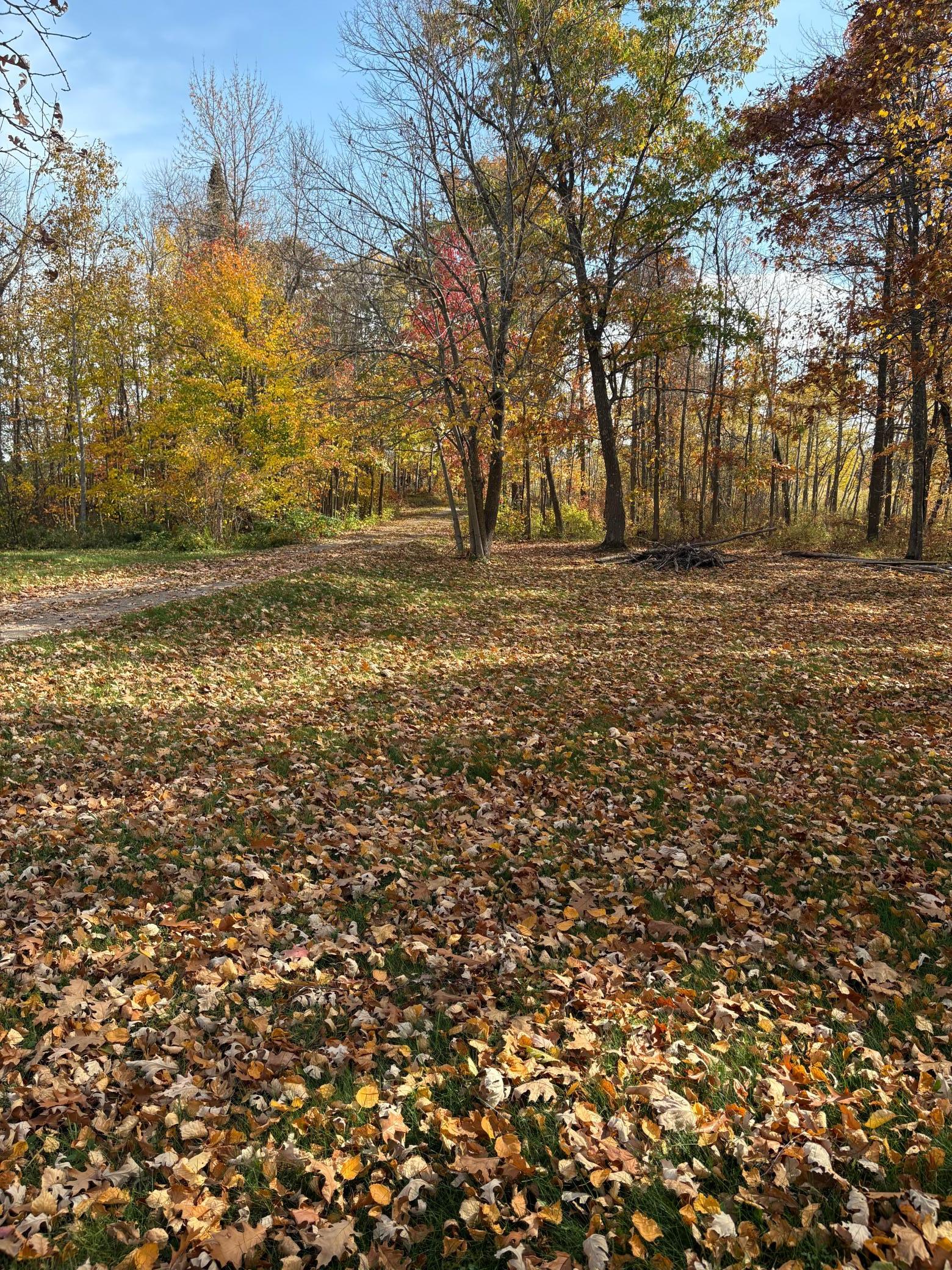 1994 single family home for sale at 23671 State Highway 47 in Aitkin, MN — 4 bed, 2 bath (photo 39 of 58)