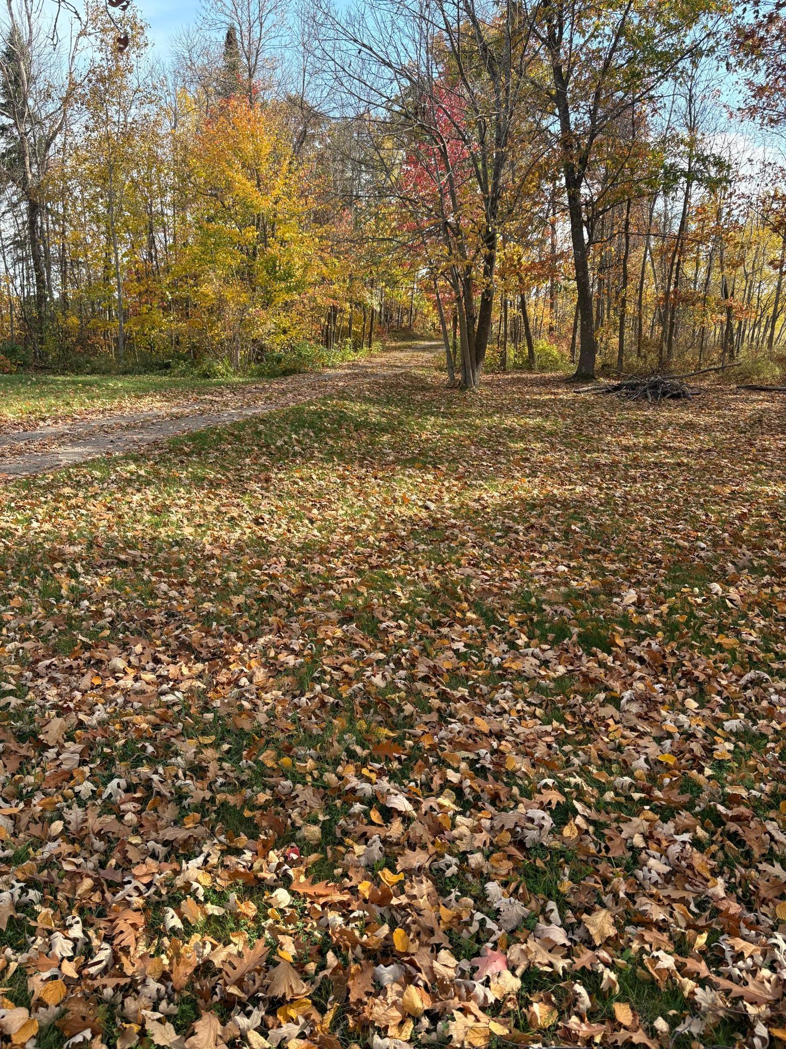 1994 single family home for sale at 23671 State Highway 47 in Aitkin, MN — 4 bed, 2 bath (photo 40 of 58)