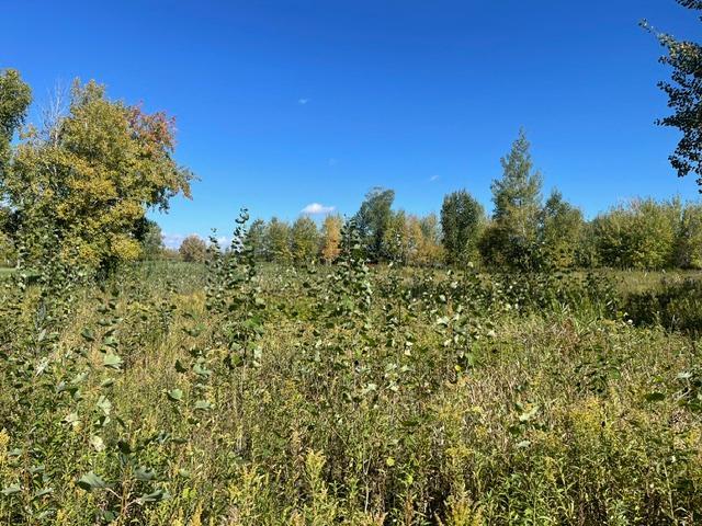 land for sale at TBD 471st LN in McGregor, MN (photo 2 of 10)