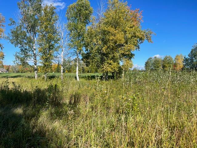 land for sale at TBD 471st LN in McGregor, MN (photo 3 of 10)
