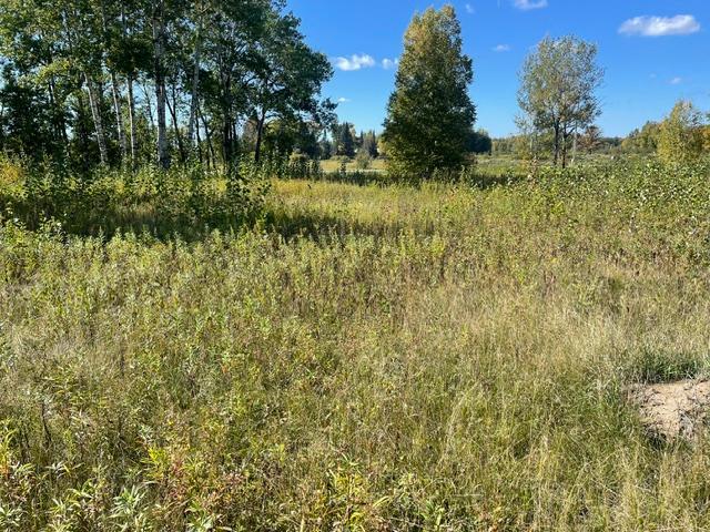 land for sale at TBD 471st LN in McGregor, MN (photo 4 of 10)