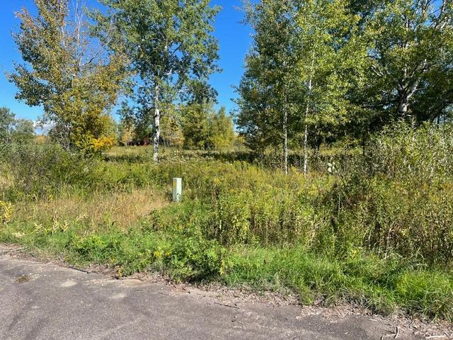 land for sale at TBD 471st LN in McGregor, MN (photo 6 of 10)
