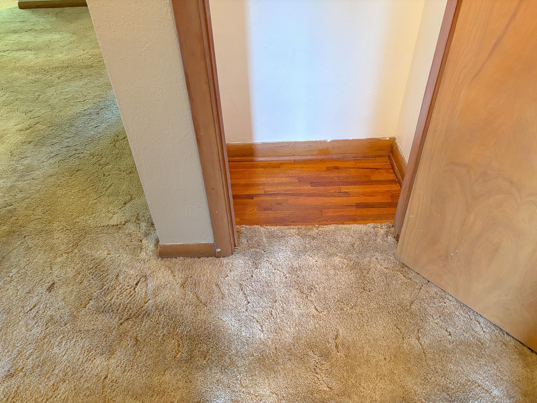 1954 single family home for sale at 740 E Gustavus Avenue in Fergus Falls, MN — 3 bed, 2 bath (photo 13 of 50)