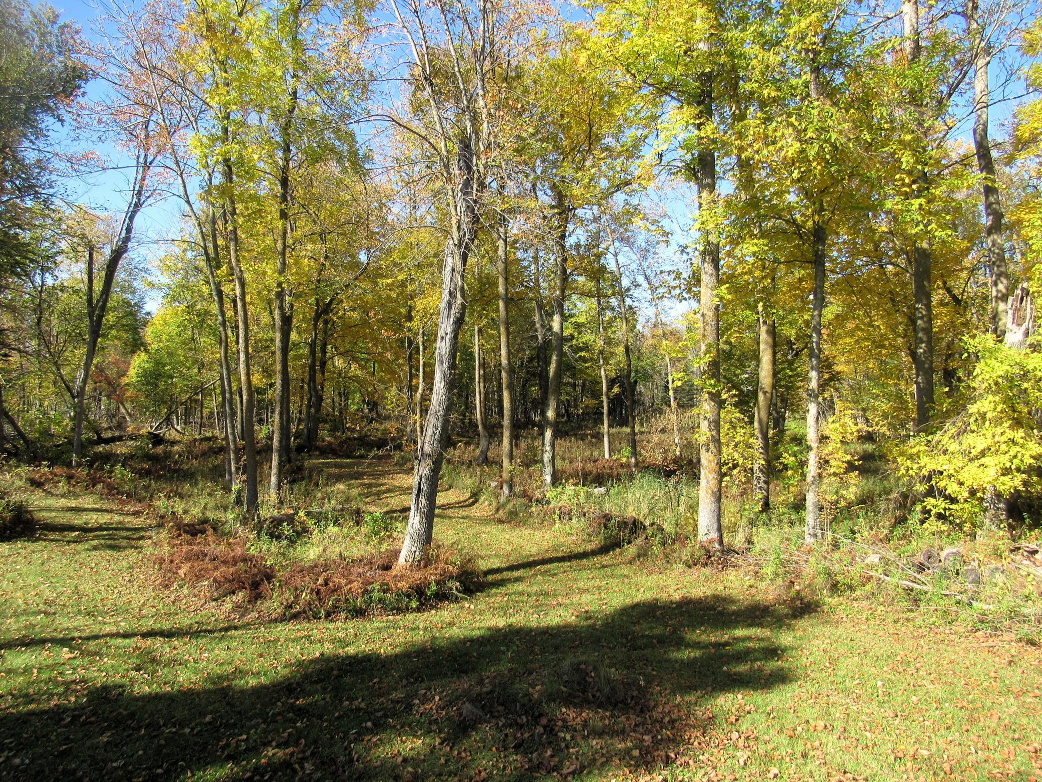2000 single family home for sale at 14281 County Road 116 in Merrifield, MN — 5 bed, 3 bath (photo 19 of 19)