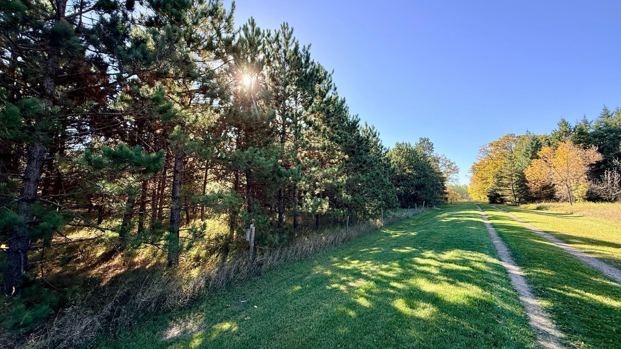 1976 single family home for sale at 19327 Cr-108 in Park Rapids, MN — 2 bed, 1 bath (photo 13 of 17)