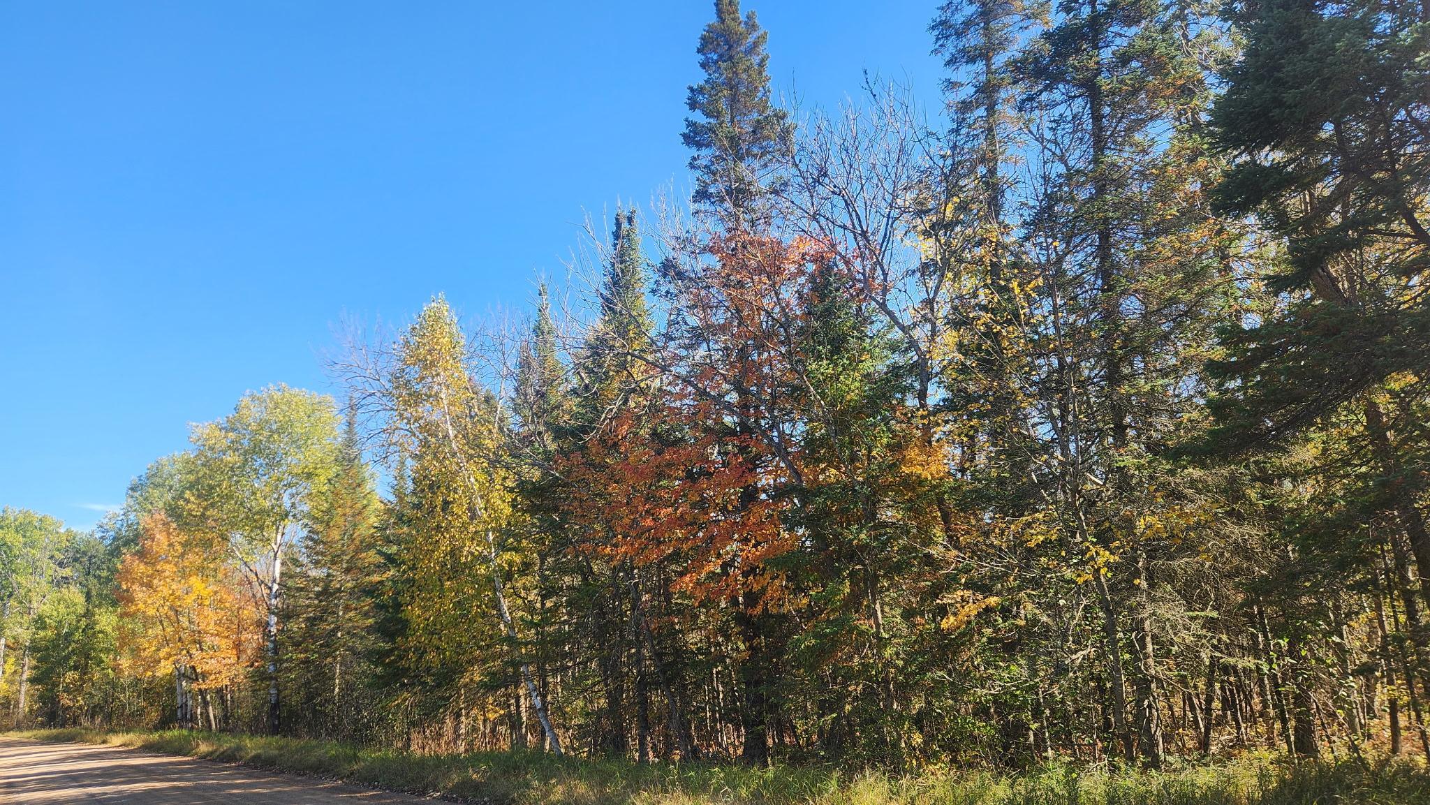 land for sale at TBD County Road 55 Road NE in Remer, MN