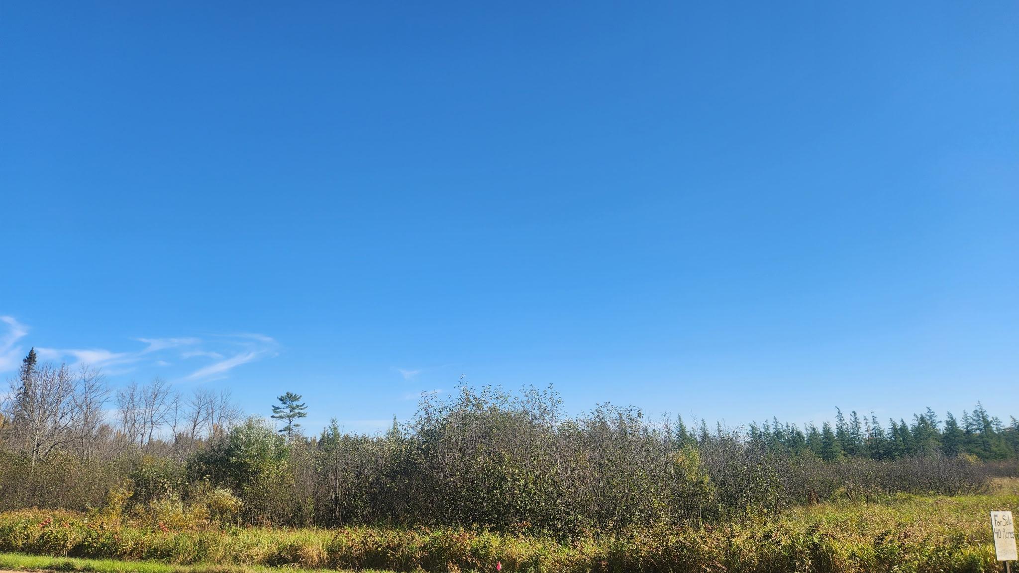 land for sale at TBD County Road 55 Road NE in Remer, MN (photo 2 of 4)